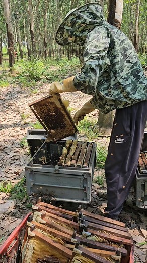 2K views · 17 reactions | Honey harvesting team | Phary BeeKeeper | Facebook
