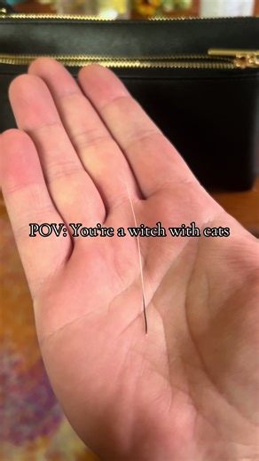 Exploring the World of Witches and Their Cats