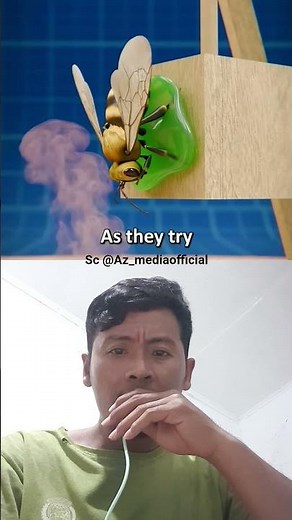 Building a Bee-Powered Ferris Wheel 🐝⚙️ (Crazy Mini Science Experiment)