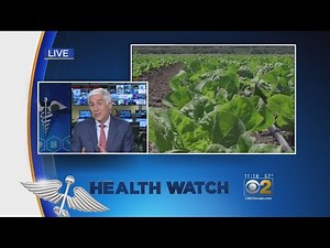 Dr. Jon LaPook talks romaine lettuce recall and allergy season
