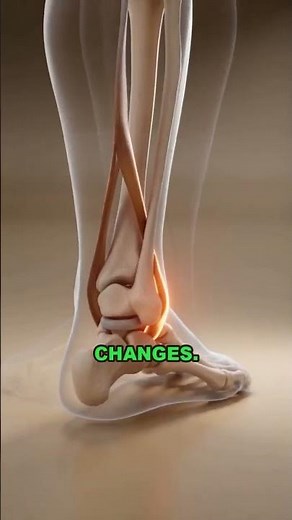 That Ankle That Won't Stop Rolling Has a Real Reason