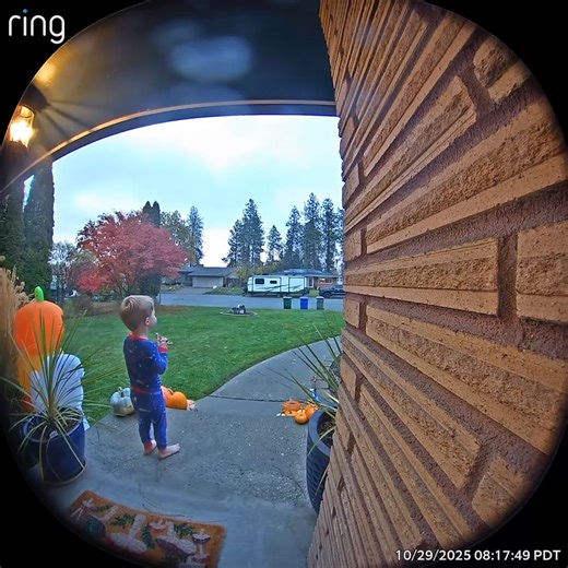 Seeing the joy in this young recycler may be one of the few things that could make your Halloween a little sweeter. 🎃 The day started on a high note when Henry saw the shiny green WM truck in front of his house. Our drivers love bringing smiles to community members along their routes. Happy Halloween, Auburn! City of Auburn - Government Mayor Nancy Backus Auburn Area Connect Chamber of Commerce Auburn Examiner Auburn Reporter | WM Auburn