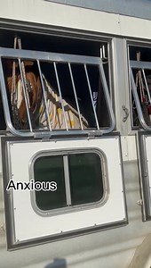 51K views · 818 reactions | Behavioral changes are often the first...