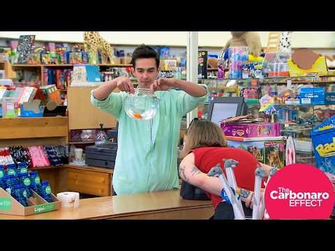 The Carbonaro Effect Funniest Wildest Moments | The Carbonaro Effect 2026 Part 7