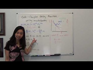 Cobb Douglas Utility Maximization: An Example