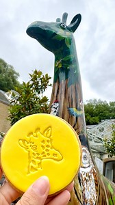 85 reactions | 漣 Woody wants a bite! Our limited-edition giraffe cookies have arrived in the Courtyard Café and will be sticking around for the summer. ☀️ Snap a selfie with Woody and grab a cookie while they last! 漣 Supporting @breakcharity through the @gogotrails safari  | Holkham | Facebook