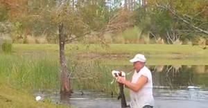 WATCH: Man jumps into water & saves his dog from the jaws of an alligator, dramatic rescue footage goes viral