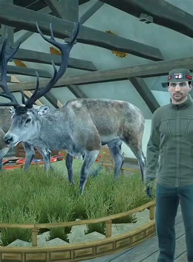 Hunting Red Stag Trophy: A Gameplay Guide