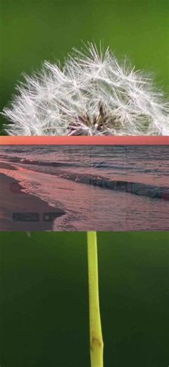 Karaoke Vết Thương Trong Em Tone Nữ