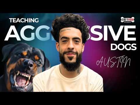 Why Most Aggression Training Fails (And What Actually Works)