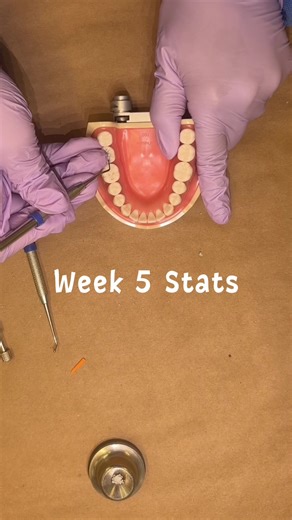 Week 5 stats! A realistic, but imo not maintanable week of work in dental school. Studied my tushy off for Tuesday’s par and then somehow studied even more for Friday’s anatomy exam 😵‍💫 #Studying #DentalSchool #DentalStudent #Amalgam #CapCut