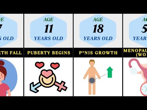 Changes In The Human Body At Different Age