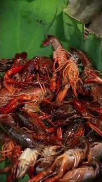 Go on a summer getaway, picking wild vegetables and catching crayfish. #food