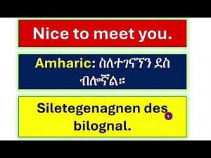 Basic Greetings & Meetings /ሰላምታ እና መተዋወቅ