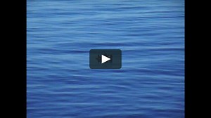 Havarie - Philip Scheffner - extrait