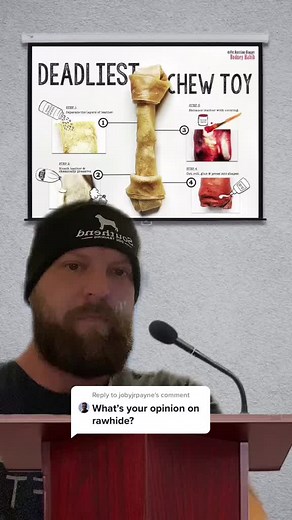 Why Rawhide Chews Are Dangerous for Dogs