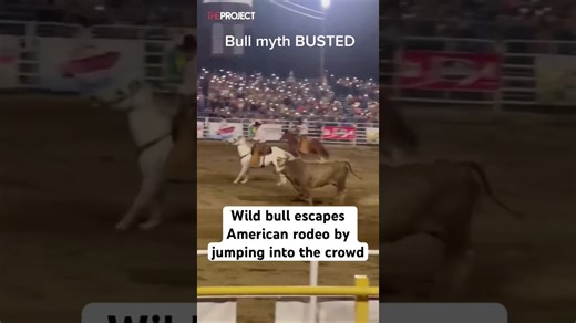 Bulls don’t charge red—understanding what really triggers attacks