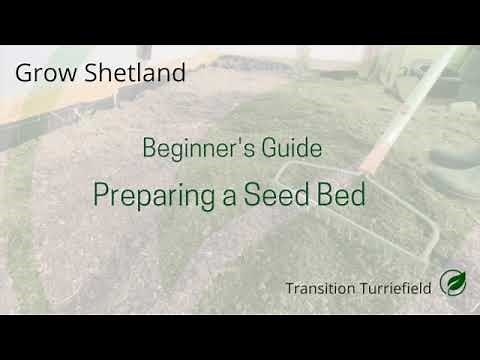 Preparing a Seed Bed