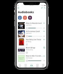 PocketBook reader - any books
