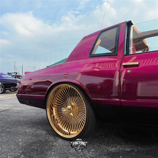 Mengenta Monte Carlo SS on gold Daytons