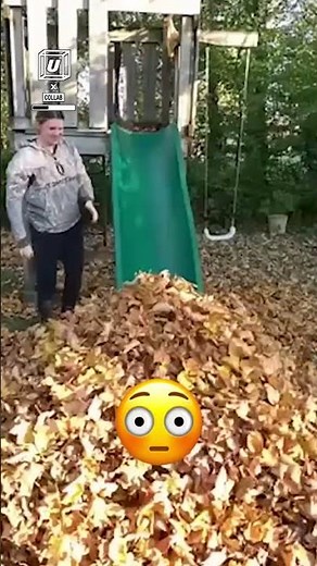 First leaf pile gone wrong 😂🍁😳 🎥: Collab