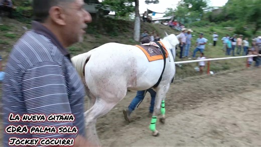 88K views · 1.5K reactions |  Carriles san Felipe jalapa de Díaz  200 varas El nandi cdra la ilusión La nueva gitana cdra palma sola Carreron quedaron tablas #camaratuxtepec  | Cámara Tuxtepec | Facebook