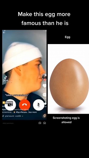 Make This Egg Famous: A Unique TikTok Experience