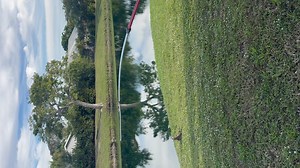 Man fishing Iguana 🦎 In Florida!!! everyone Follow Let’s Go #championtheiguanaking #florida #wildlife #wildlifephotography #invasive #greeniguana #express #rxplorepage #viralreelsシ #highlightsシ゚ #facebookreel #nature #naturephotography | Champion BrooksWebster