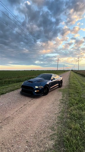 #1320video #mustanggt #viral #fyp #ford | ford raptor