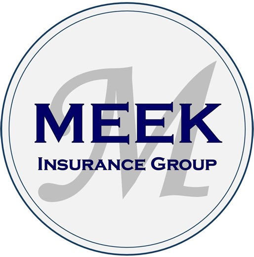 Meek Insurance Group | Apollo Beach FL
