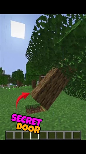 Minecraft Secret Door