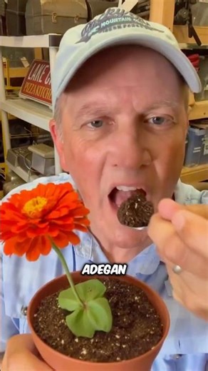 This is how movies trick the audience❗️😳