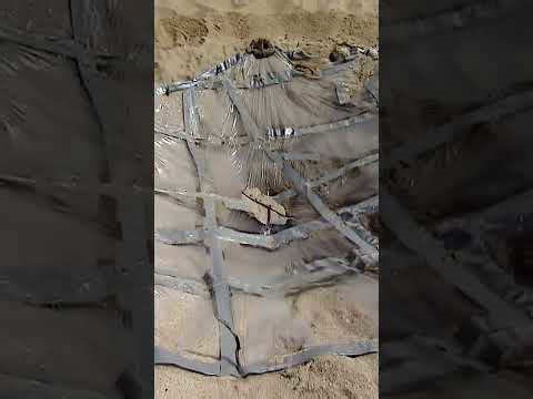 Master the survival skills everyone should know