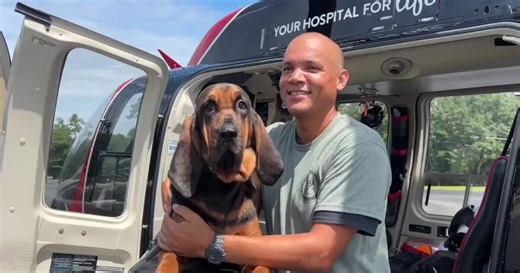 WATCH: Florida Public Safety Institute adds new training to their Bloodhound Tracking Seminar