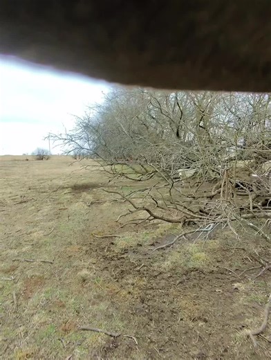 Effective Treatment for Foot Rot in Livestock