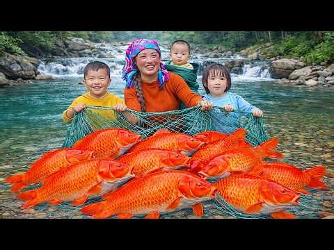 Catching Giant River Fish with Nets – Harvesting Huge Lemons with My Kids