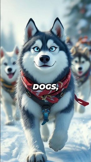 Balto: The Sled Dog That Saved a Town from Disaster