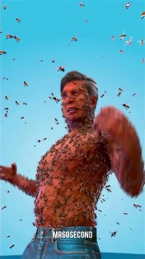 🤯How many bee stings will kill humans? How Many Bee Stings Are Dangerous? |