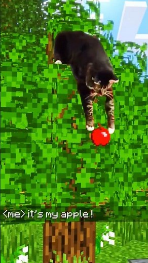What does the cat eat in Minecraft🍎😼