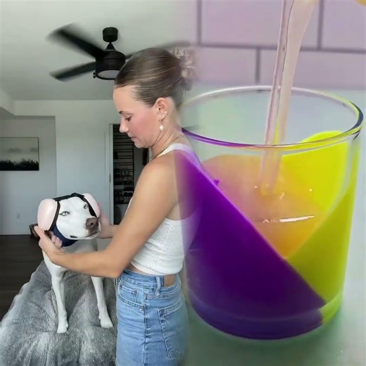 Preparing my dog for the 4th of July fireworks🇺🇸💥#dogshorts #funny #dog #summer #fourthofjuly