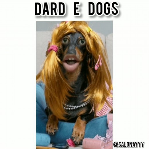 Saloni Gaur | Kya tumne apne 🐕 se baat ki lockdown mein? . . . . . . . . . . #bornoninstagram #salonayyy #salonigaur #dogs #lockdown | Instagram