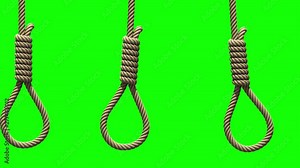 Camera movement along Hangman's nooses, 3D animation on green screen. Ropes with knots for suicide or execution by hanging are swinging from side to side like a pendulums, seamless loop.