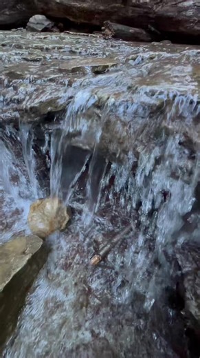 60 Seconds of Serenity (#2002): Each day I am sharing 60 seconds of nature to help “take the edge off” a bit. The gurgling of Shake Creek in Orchard Park, NY is a gift from nature. Turn up the sound and enjoy! | John Kucko Digital