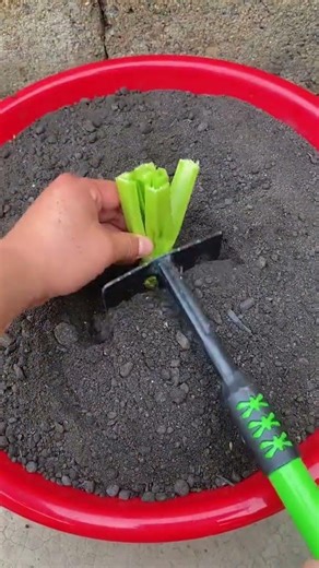 RP 6737116 mini rotary tillage and ridging all-in one tree 🌲short view #subscribe #shorts #trending