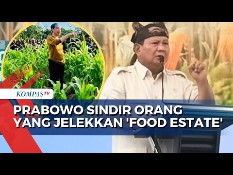 Prabowo Subianto Angkat Bicara soal Orang yang Jelekkan Food Estate: Antek Asing
