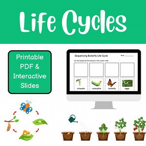 Life Cycle Science Cut&Paste worksheet and Digital Activity for 1st & 2nd grade