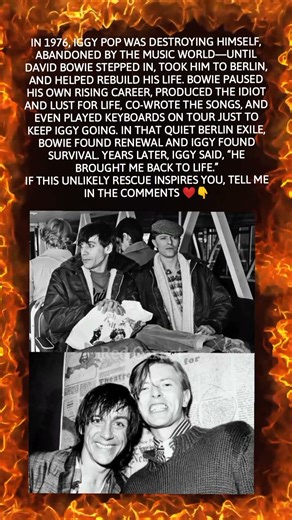 “The Friendship That Saved Iggy Pop”