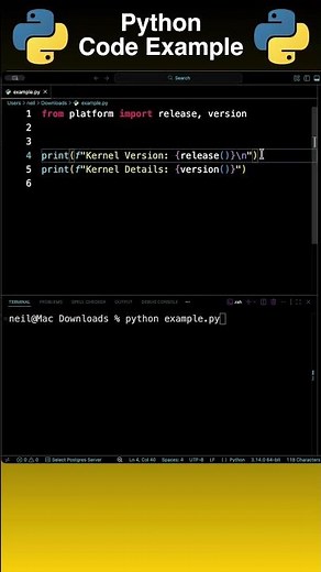 Python: Get the Operating System Kernel Information