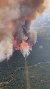 2.9K views · 96 reactions | From a Canadian firefighter who knows...