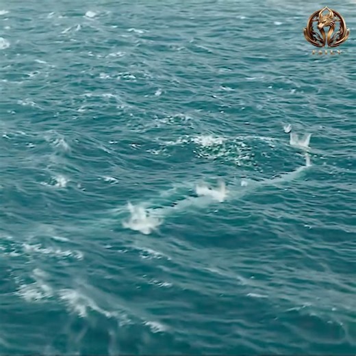 268K views · 2.5K reactions | best action series on netflix 2024 | ASOCIACIÓN FUERZA CRISTAL | Facebook